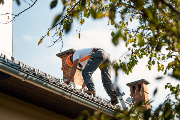 Professional Roofing Services in Newfoundland, NJ
