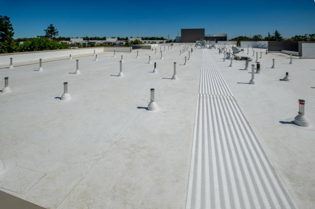 Best Cold Roofs  in Newfoundland, NJ